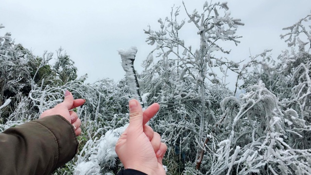 Du khách thích thú với băng tuyết phủ trắng đỉnh Mẫu Sơn - 7 Du khách thích thú với băng tuyết phủ trắng đỉnh Mẫu Sơn - 7