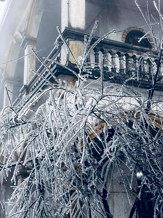 Du khách thích thú với băng tuyết phủ trắng đỉnh Mẫu Sơn - 5
Trên từng cành cây, lá cỏ được phủ một lớp băng trắng xóa vô cùng đẹp mắt.