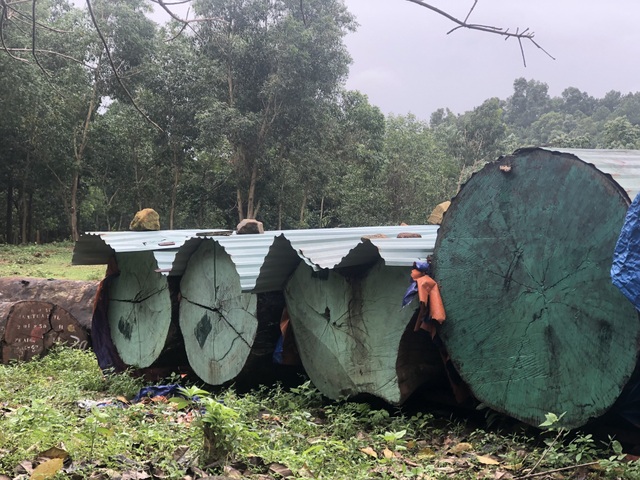 Giờ chót, biệt phủ trái phép của “đại gia vàng” vẫn chưa tháo dỡ xong - Ảnh 6. Giờ chót, biệt phủ trái phép của “đại gia vàng” vẫn chưa tháo dỡ xong - Ảnh 6.