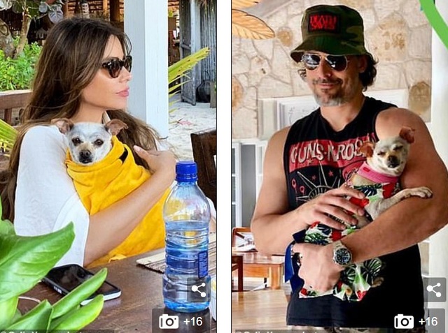 Sofia Vergara vẫn gợi cảm ở tuổi 46 - Ảnh 5. Sofia Vergara vẫn gợi cảm ở tuổi 46 - Ảnh 5.