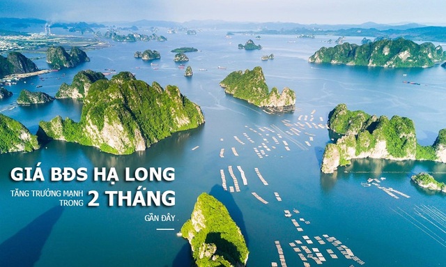 Giá BĐS Hạ Long tăng trưởng mạnh trong 2 tháng gần đây - 1 Giá BĐS Hạ Long tăng trưởng mạnh trong 2 tháng gần đây - 1
