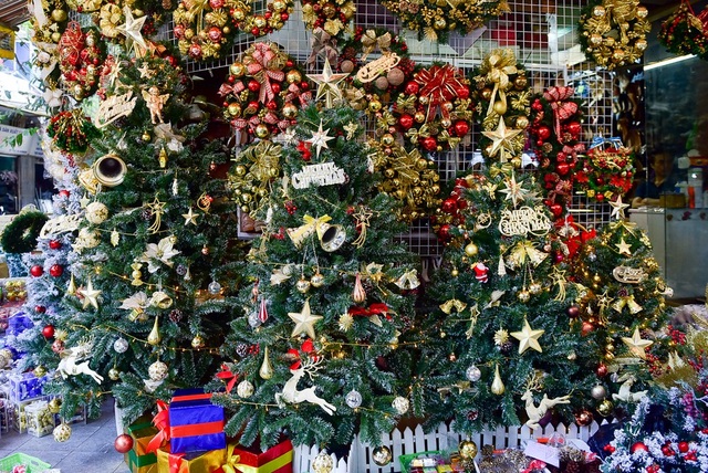 Phố Hàng Mã tràn ngập không khí Noel - 6 Vẫn như mọi năm, cây thông vẫn là mặt hàng không thể thiếu trong mỗi dịp Giáng sinh về và hiện là mặt hàng được lựa chọn nhiều nhất. Với các loại cây thông nhỏ và vừa thường có giá từ 200 - 500 nghìn đồng/cây; loại cây to, cao và được trang trí bắt mắt hơn thì sẽ có giá cao hơn.