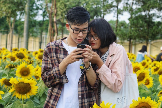 Giới trẻ thích thú “check in” tại vườn hoa hướng dương “gây sốt” ở Hà Nội - 3 Các bạn trẻ thích thú chụp ảnh giữa vườn hướng dương khoe sắc rực rỡ.