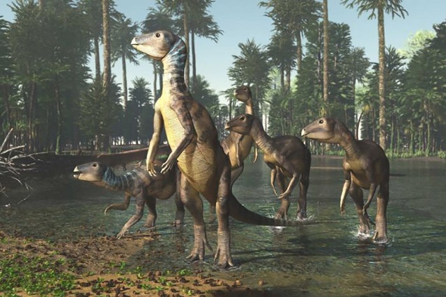 Khám phá ra loài khủng long mới tại Australia - 1 Hình ảnh phục dựng được cho là loài khủng long Weewarrasaurus pobeni.
