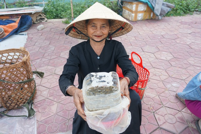 Đặc sản nòng nọc ở vùng cao Quảng Ngãi - 4 Nhiều người bắt nòng nọc bán kiếm thêm thu nhập chi tiêu hàng ngày.