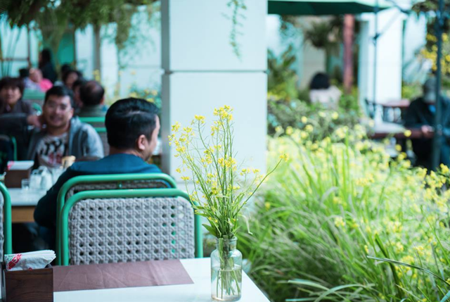 “Mùa Cải Đầu Đông" - rực sắc vàng giữa lòng Hà Nội - 2 Cải vàng còn có mặt trên những bình hoa ở bàn ăn, tạo nên cảm giác thân thuộc, gần gũi cho thực khách