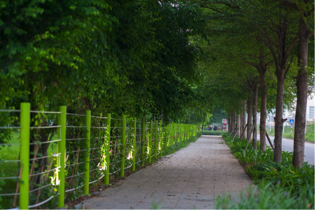 “Đỏ mắt” tìm không gian sống thoả mãn 3 thế hệ - 1
Tại Hồng Hà Eco City có thể dễ dàng bắt gặp hình ảnh các cụ già người tản bộ, người tập dưỡng sinh dưới tán cây xanh mát