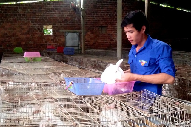 Chàng trai trẻ nuôi thỏ, nuôi trùn Ấn Độ, lãi 12 triệu/tháng - 1
Mô hình chăn nuôi khép kín hiệu quả, trong đó có nuôi thỏ giúp anh Thành thu nhập cả trăm triệu đồng mỗi năm. Ảnh: Đ.S
