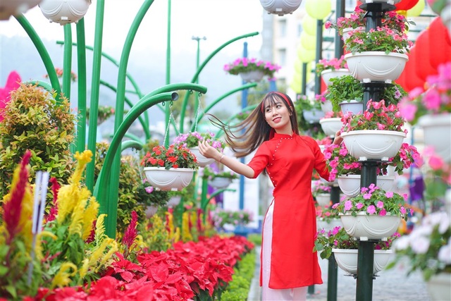 Thiên đường “sống ảo” miễn phí ngay cạnh vịnh Hạ Long hút hàng ngàn du khách - 2 Cả một “rừng hoa” nở bên vịnh Hạ Long với nhiều loại đặc sắc như hồng tỉ muội nữ hoàng, cẩm tú cầu… đưa du khách đến với những không gian ngợp ngời sắc xuân. Dường như Tết đã rộn ràng ngay lúc này, nơi thành phố di sản.