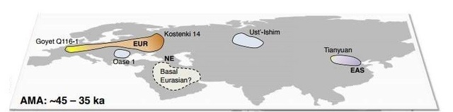 ADN cư dân Kỷ Băng hà lí giải sự kế thừa hệ gen Neanderthal - 2
Vị trí những nhóm người hiện đại 35-45.000 năm trước có thể là tổ tiên của chúng ta, và những khu vực được cho là nơi sinh sống của họ - Ảnh từ tạp chí Trends in Genetics.