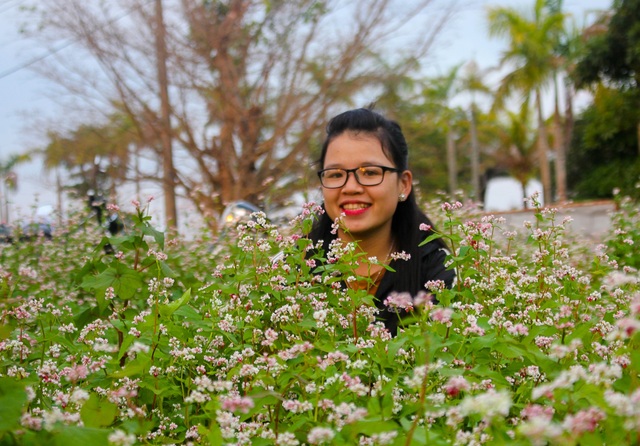 Cận cảnh vườn hoa tam giác mạch trên Cao Nguyên - 6 Thiếu nữ Cao Nguyên rạng ngờ bên loại hoa đặc trưng Miền Bắc