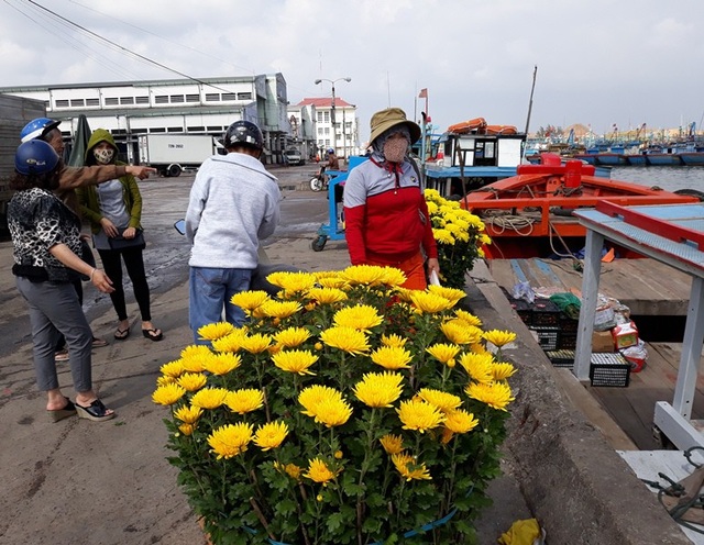 Hối hả đưa Tết ra đảo tiền tiêu - 6
Nhiều chậu cúc chuẩn bị xuống tàu vượt biển đón Tết trên đảo Nhơn Châu.