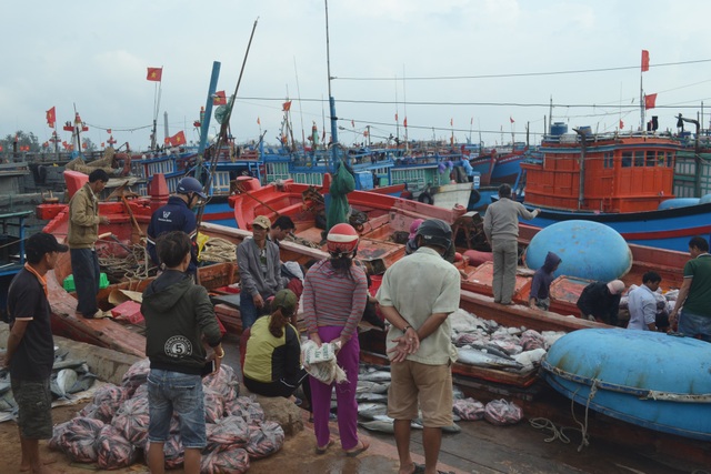 Ngư dân Lý Sơn bội thu "lộc biển" ngày cuối năm - 3 Cảng cá Lý Sơn nhộn nhịp ngày cuối năm