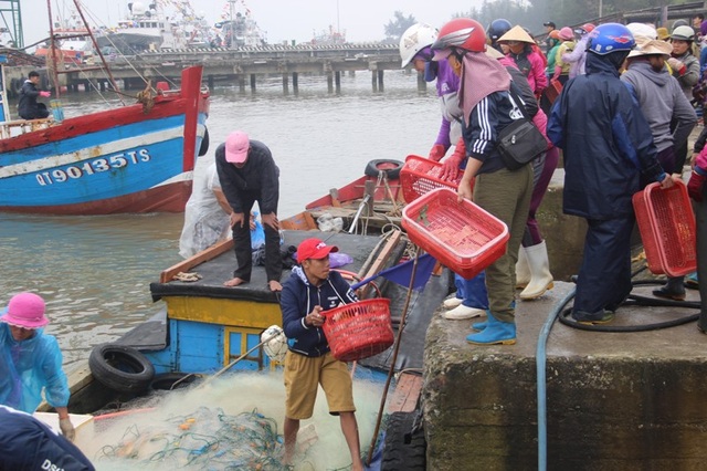 Ngư dân hối hả ra khơi kiếm tiền tiêu Tết - 1 Không khí sôi động tại cảng biển những ngày cuối năm