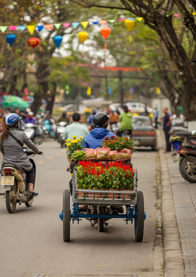 Hội An: Xuân về trên phố! - 2 Chở xuân về nhà