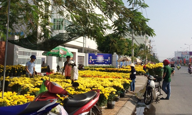 Cận Tết, đường bán hoa Valentine... vắng hoe - 9
Một số tuyến đường là điểm nóng của các bạn trẻ bán hoa dịp lễ tình nhân thì nay là nơi bán hoa tết rất xôm tụ