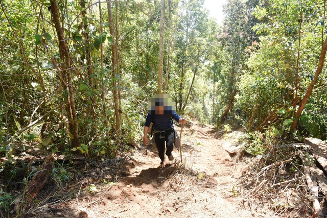 Lâm tặc táo tợn chặt nhiều cây gỗ "khủng" ngày cận Tết - 9 Con đường mà các đối tượng kéo gỗ lên bãi tập kết