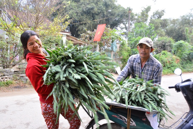 Làng hoa lay ơn "hốt bạc" dịp Tết sau 4 năm trắng tay vì mưa lũ - 2 Niềm vui người trồng hoa Nghĩa Hà trong phiên chợ cuối năm