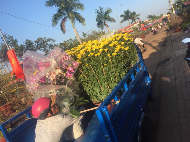 “Cháy” người giao hàng và nhân viên bán hàng cận Tết - 2 “Cháy” người giao hàng và nhân viên bán hàng cận Tết - 2