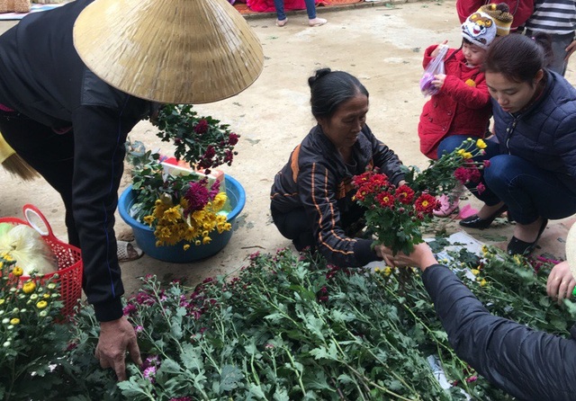 Nét chợ quê ngày Giáp Tết - 13 Chọn hoa cúc để về dâng lên bàn thờ tổ tiên trong ngày Tết.