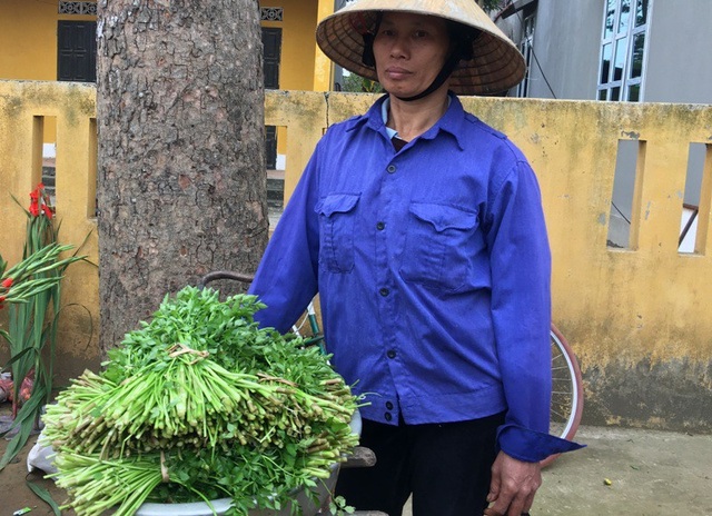 Nét chợ quê ngày Giáp Tết - 8 Những bó rau cần xanh tươi được hái đem đến phiên chợ ngày cuối năm bán. Mặc dù thu nhập cũng chẳng đáng là bao, nhưng có thêm đồng ra, đồng vào với những người nông dân.