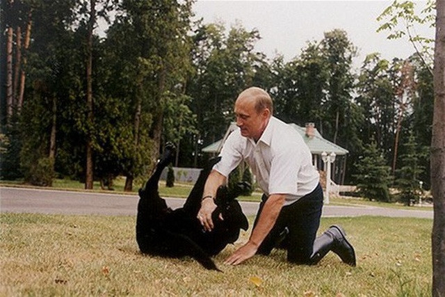 
Tổng thống Putin chơi đùa với chó Koni. Ảnh: KREMLIN.RU

