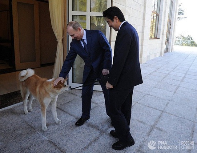 
Tổng thống Putin khoe chó Yume với Thủ tướng Nhật Shinzo Abe hôm 8-2-2014. Ảnh: RIA NOVOSTI
