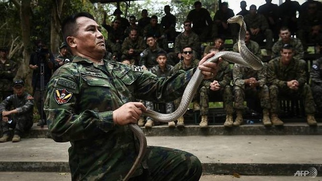 Binh sĩ uống máu rắn, ăn bọ cạp trong cuộc tập trận lớn nhất châu Á - 5 Màn trình diễn đối phó với rắn. (Ảnh: AFP)