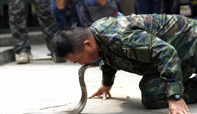 Binh sĩ uống máu rắn, ăn bọ cạp trong cuộc tập trận lớn nhất châu Á - 3 Buổi diễn tập nhằm giúp các binh sĩ có thể sinh tồn trong rừng sâu (Ảnh: AFP)
