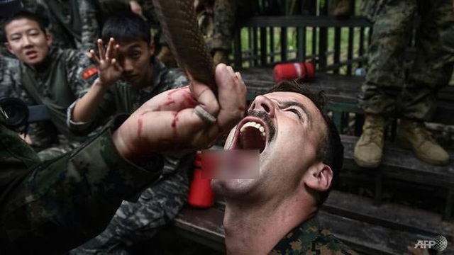 Binh sĩ uống máu rắn, ăn bọ cạp trong cuộc tập trận lớn nhất châu Á - 4 Một quân nhân uống máu rắn hổ mang. (Ảnh: AFP)