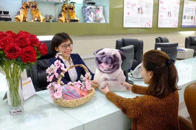 Chen chân mua hàng hiệu ở The Garden - 7 Trong các món quà The Garden đang dành tặng khách hàng thì món gối có thiết kế như một chú cún thật khiến nhiều khách hàng yêu thích khi năm mới Mậu Tuất đang cận kề.