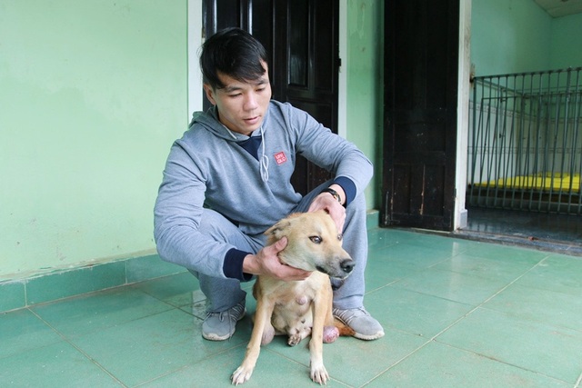 Huế: Chàng trai trẻ cứu hơn 200 con chó hoang, bệnh tật mỗi năm - 3
Chú chó Bạc mang nhiều khối u lớn trên cơ thể đã được anh Sơn chăm sóc và điều trị. Đến nay sức khỏe chó Bạc đã được phục hồi rõ rệt