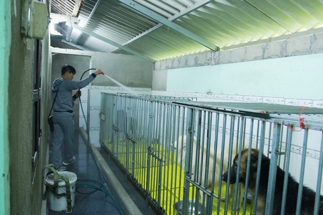Huế: Chàng trai trẻ cứu hơn 200 con chó hoang, bệnh tật mỗi năm - 6 Chuồng trại luôn được anh Sơn vệ sinh sạch sẽ để chó tránh lây nhiễm bệnh