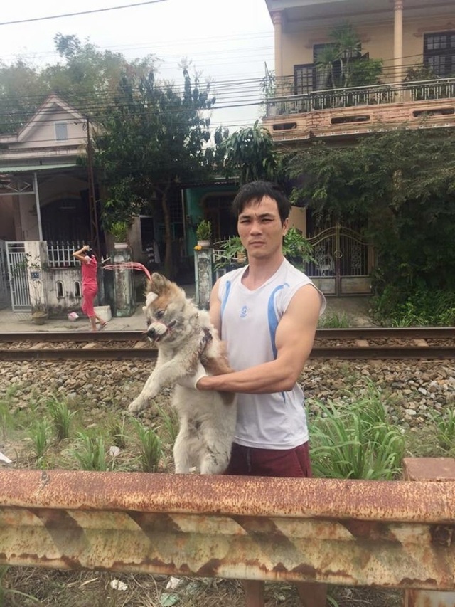 Huế: Chàng trai trẻ cứu hơn 200 con chó hoang, bệnh tật mỗi năm - 4 Anh Sơn tìm và cứu một chú chó bị bỏ rơi tại đường Lê Duẩn, TP Huế cạnh đường sắt
