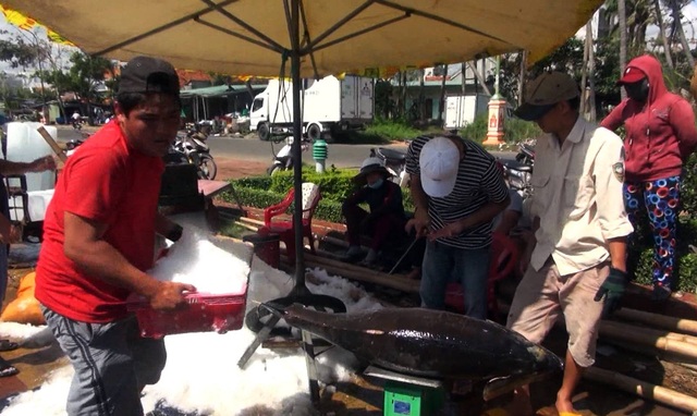 Ngư dân thu chục triệu đồng trong chuyến biển ngày tết - 2 Mặc dù vất vả nhưng ngư dân ở Phú Yên ai cũng phấn khởi vì thắng lợi trong chuyến biển đầu năm