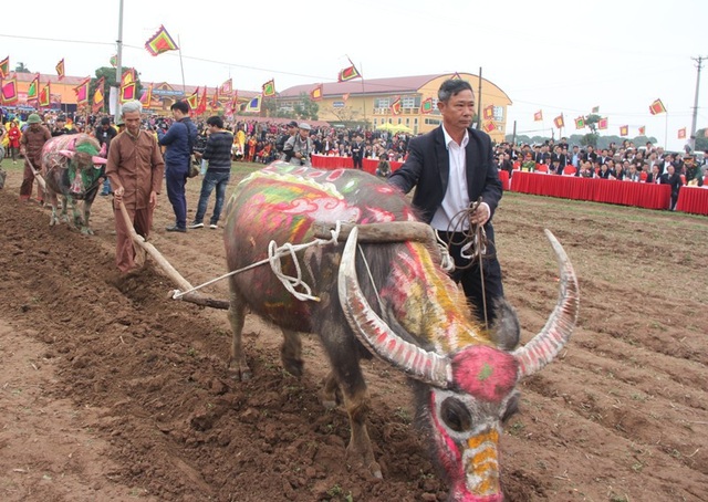 "Tô son điểm phấn" cho trâu đi cày ở lễ Tịch điền - 10 các vị lãnh đạo địa phương và các lão nông xuống cày