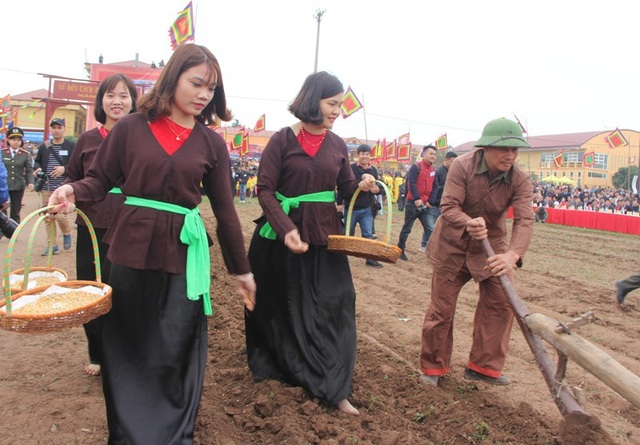 "Tô son điểm phấn" cho trâu đi cày ở lễ Tịch điền - 14 Những hạt giống được gieo xuống sau đường cày cầu mong cho những vụ mùa bội thu.