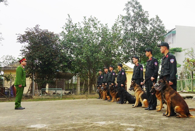 Huấn luyện chó nghiệp vụ - Gian khổ và thậm chí đổ máu! - 2 Cán bộ chiến sỹ Đội quản lí, huấn luyện và sử dụng động vật nghiệp vụ, Phòng cảnh sát cơ động Công an Nghệ An trong một buổi huấn luyện.