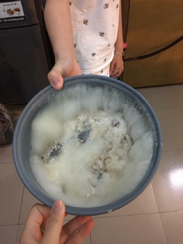 Sinh viên giật mình thấy cây mọc trong... phòng trọ sau Tết - 8 (ảnh: Trang Thư)