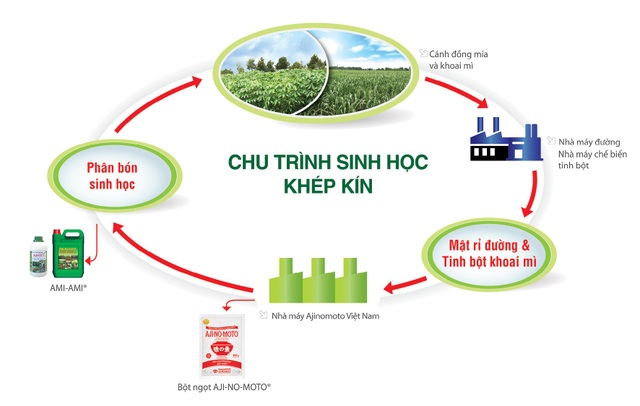 Doanh nghiệp Nhật thể hiện trách nhiệm với môi trường Việt Nam - 3
Chu trình sinh học khép kín được Ajinomoto Việt Nam áp dụng trong quá trình sản xuất nhằm hướng đến việc giữ gìn và phát triển nguồn thực phẩm, tạo sự cân bằng trong tự nhiên.