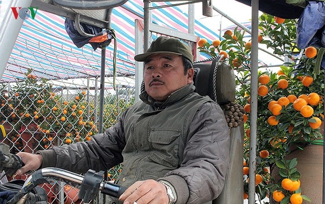Đút túi tiền triệu mỗi ngày nhờ công việc thời vụ tại vườn đào, quất - 8
Còn ông Nguyễn Bá Tùng (Tây Hồ, Hà Nội), chuyên chạy xe ba gác cũng xếp lại mọi việc để đi chở quất, đào tết thuê tại các nhà vườn. Ông Tùng cho hay, có ngày 6h sáng ông đã có khách gọi đi chở cây. Tính trung bình, thu nhập mỗi ngày cũng được từ 1-2 triệu đồng. Những ngày này công việc ổn định hơn nhiều. Chúng tôi tranh thủ làm mấy ngày này kiếm tiền tiêu tết.