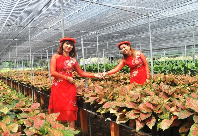 Giới trẻ miền Tây hào hứng tạo dáng ở làng hoa Sa Đéc - 5 Giới trẻ miền Tây hào hứng tạo dáng ở làng hoa Sa Đéc - 5