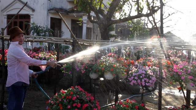“Vườn hoa Đà Lạt giữa phố” điểm đến hấp dẫn khi du khách đến Phú Yên - 5 Theo chủ vườn, mỗi ngày có đến hàng trăm người khắp nơi tìm đến để chụp ảnh. Vì lo sợ hư hoa nên chủ vườn cũng hạn chế khách đến. Tuy nhiên, vì khách quá đam mê nên chủ vườn không đành lòng từ chối khách. Khách đến chụp ảnh, rồi đăng trên mạng xã hội nên khiến vườn hoa trở nên càng nổi tiếng