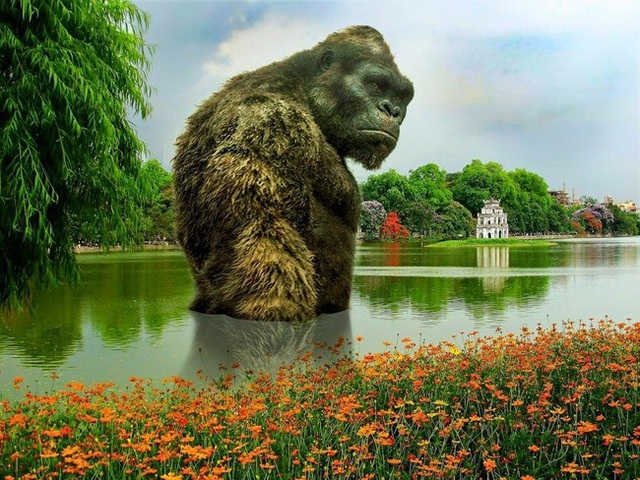 
Rất nhiều hình ảnh được biến tấu để phản đối việc dựng mô hình Kong tại Hồ Gươm
