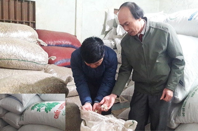 Kịp ngăn 3,8 tấn lạc giống “lậu” chuẩn bị được tung ra thị trường - 1 Toàn bộ số lạc không rõ nguồn gốc được kịp thời phát hiện, ngăn không cho tuồn ra thị trường. Ảnh: Thúy Ngọc.