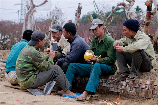 Nông dân đi đánh gốc đào thuê: Mỗi ngày kiếm tiền triệu - 10
Những người cửu vạn tranh thủ nghỉ ngơi giữa buổi
