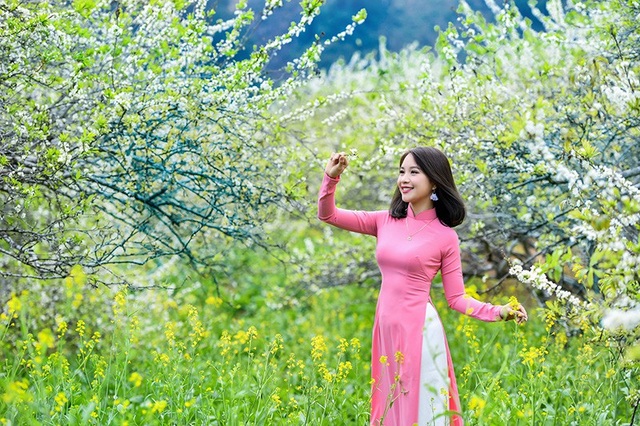 Xuân về đẹp tuyệt giữa rừng hoa mận trắng Mộc Châu | Báo Dân trí