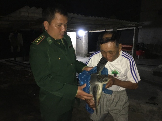 Được vận động, ngư dân mang vích biển quý hiếm thả về đại dương - 1 Sau khi được vận động, ông Vinh đã bàn giao chú vích cho các cán bộ biên phòng để thả về đại dương