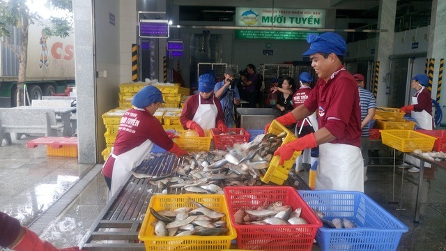 Quản lý thực phẩm bị quy định của pháp luật “làm khó” - 2 Sản xuất, chế biến đảm bảo an toàn là điều kiện tiên quyết để xây dựng thương hiệu thực phẩm