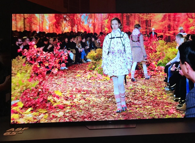 Sony nâng cấp phân khúc tầm trung với các dòng TV BRAVIA 2018 mới ra mắt - 5 Sự khác biệt mà công nghệ OLED mang đến vẫn vô cùng khác biệt so với các series còn lại. Dẫu vậy, mức giá để sở hữu dòng sản phẩm này cũng cao hơn hẳn.